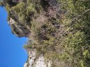 Montée douce à la Bergerie